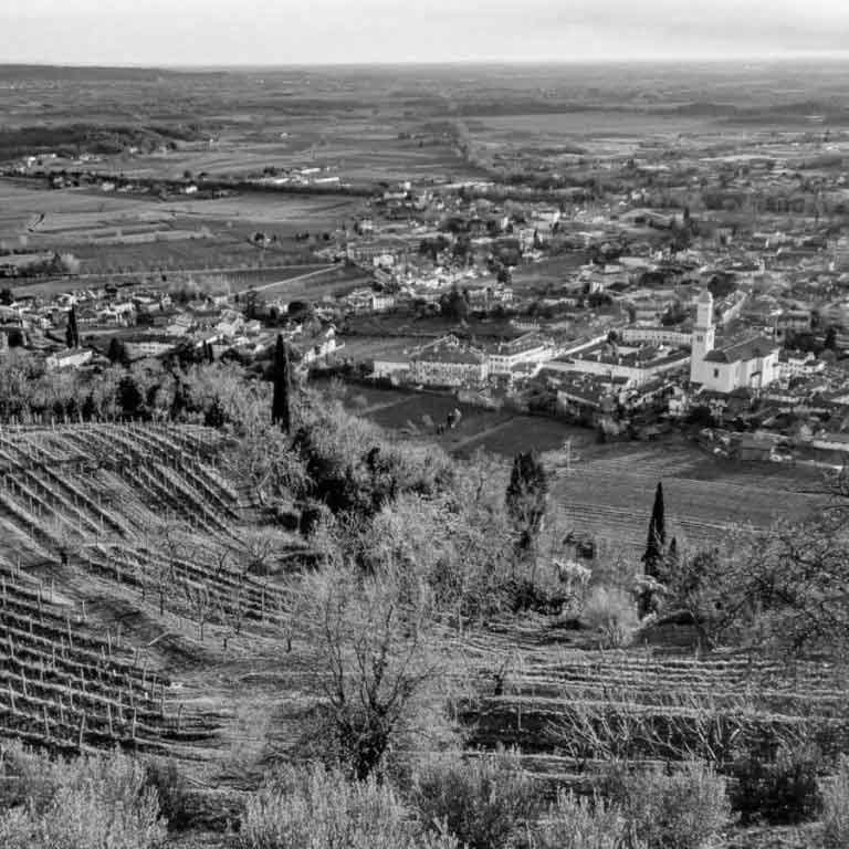 Scopri Il Friuli Venezia Giulia Con Wine Tour FVG